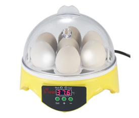 7 Eggs Mini Digital Egg Incubator Hatcher Transparent Eggs Hatching Machine