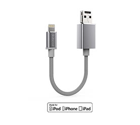 Lightning to USB Memory Cable