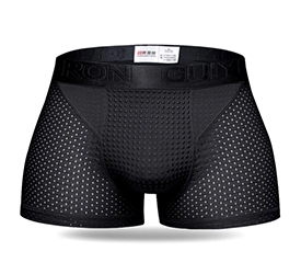 Mens Sexy Nylon Mesh Magnetic Therapy Health Care Breathable Inner Pants