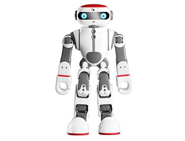 Wltoys F8 Dobi Intelligent Humanoid Robot
