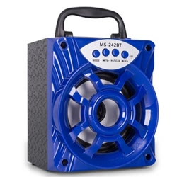 MS-242BT Portable Wireless BT Speaker