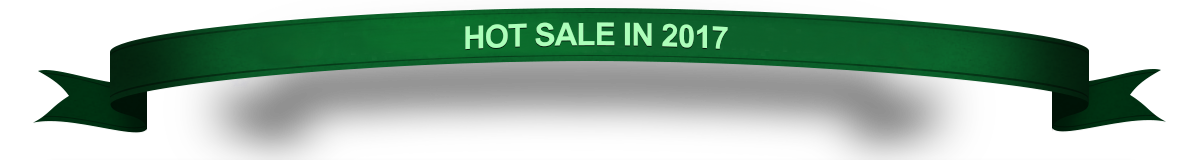 Hot Sale in 2017