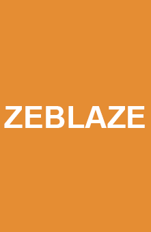 ZEBLAZE