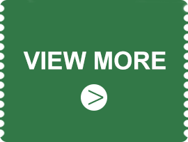 View More