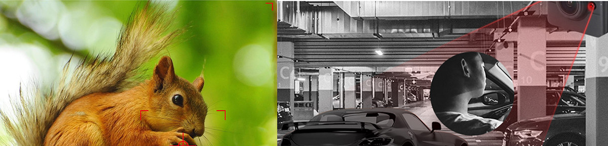 Mid-Autumn Festival Special Offers