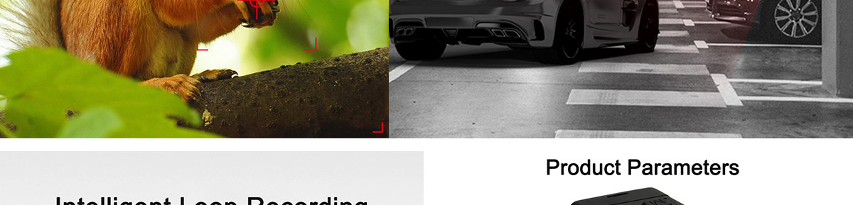 Mid-Autumn Festival Special Offers