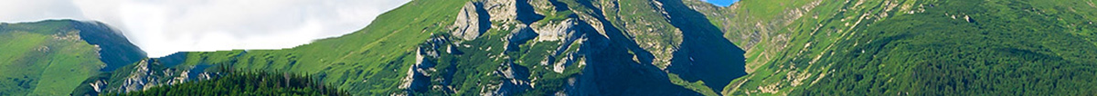 banner img